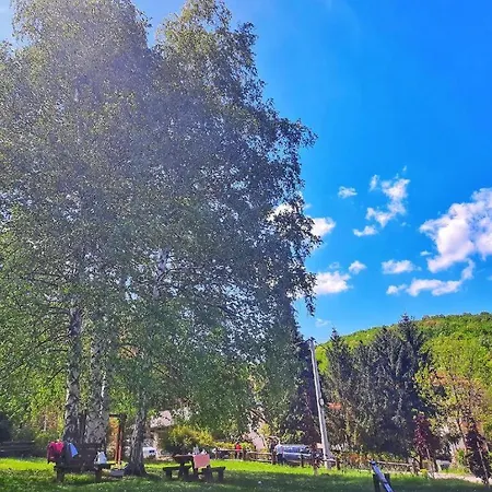 Apartman-studio Nikola *
